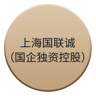 上海国联诚（国企独资控股）