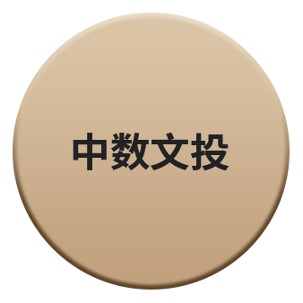 中数文投